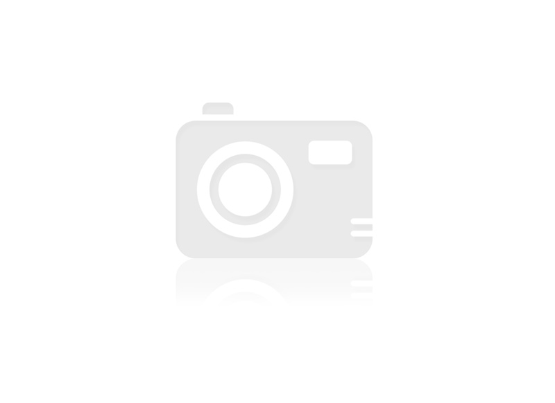 BACILLUS SUBTILLIS