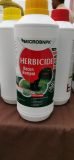 HERBISIDE  (Racun Rumpai Organic)